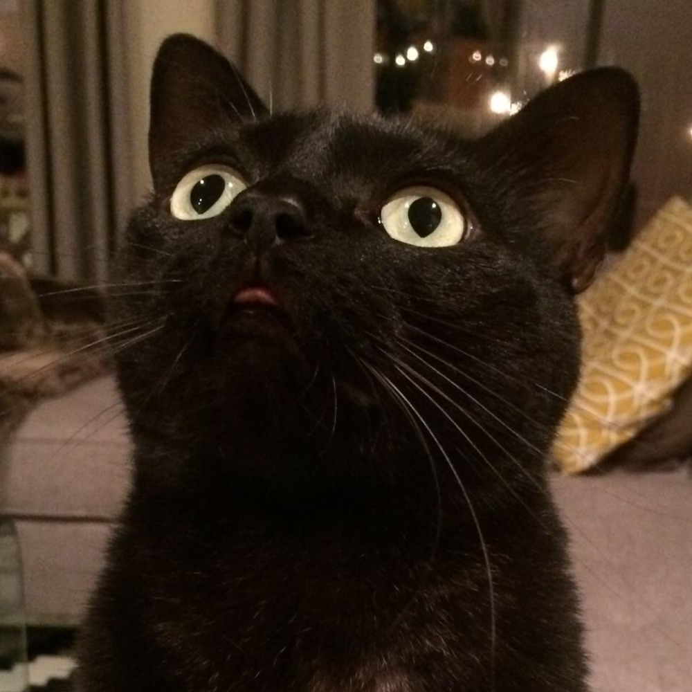 Meet your Posher, Jana